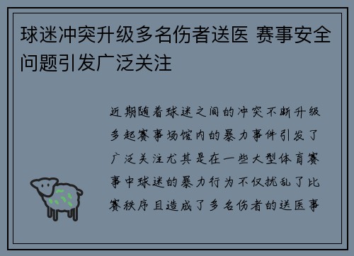 球迷冲突升级多名伤者送医 赛事安全问题引发广泛关注